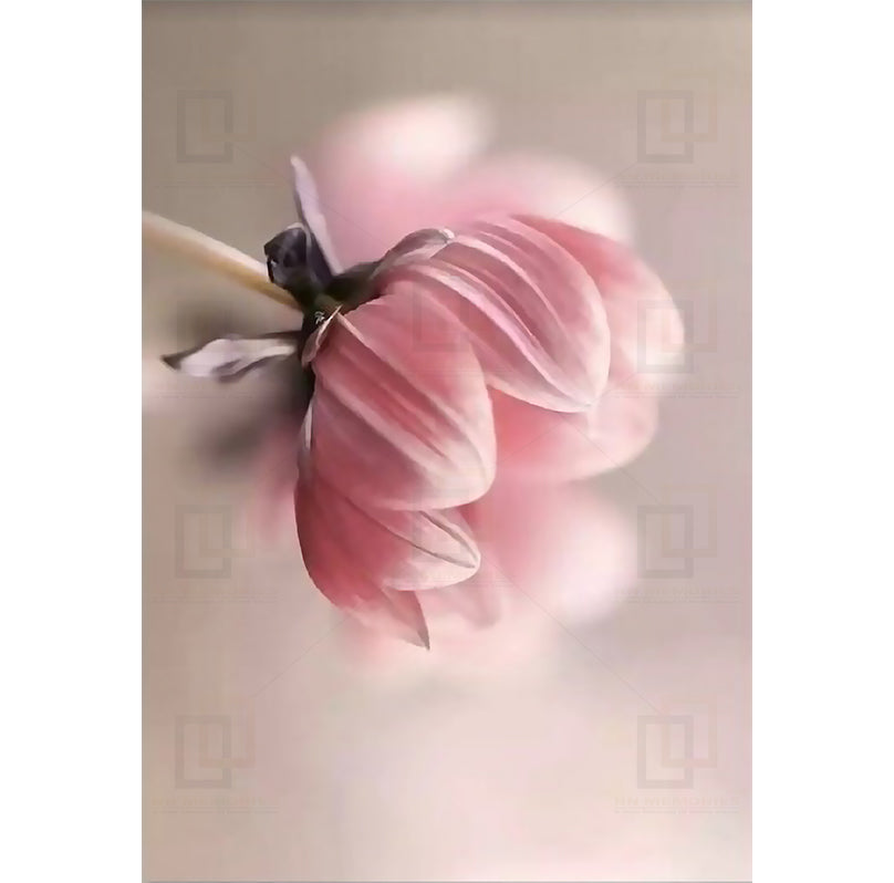 Beauty Life Pink Flowers Framed Wall Arts