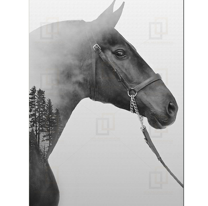 Mural Black and White Horse Framed Digital Prints