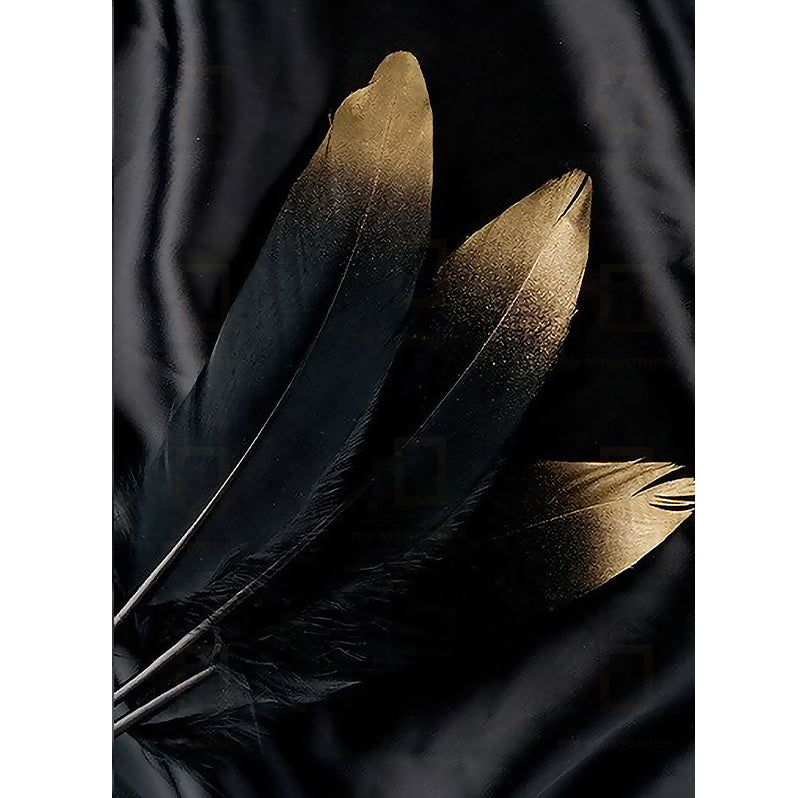 Modern Black and White Feather Framed Posters