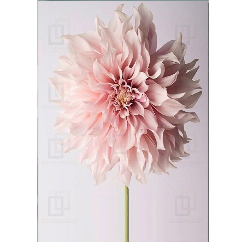 Beauty Life Pink Flowers Framed Wall Arts