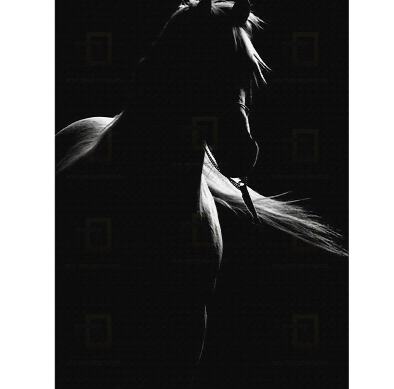 Mural Black and White Horse Framed Digital Prints