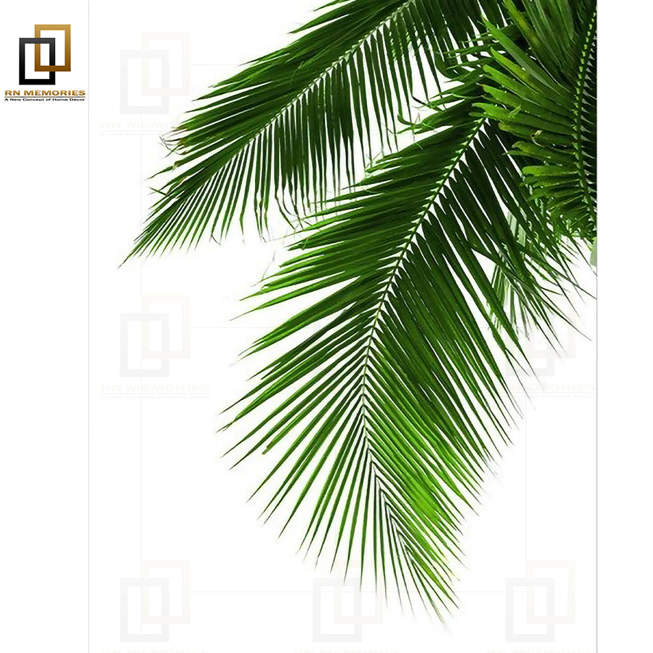 Mons-tera Aloe Palm Leaf  Framed Prints