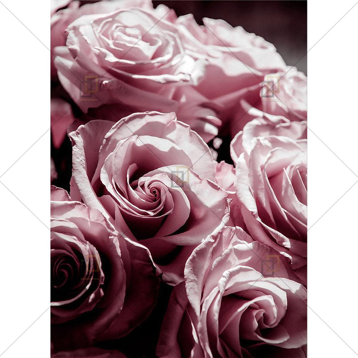 Peony Rose Flower Wall Art Framed Digital Prints