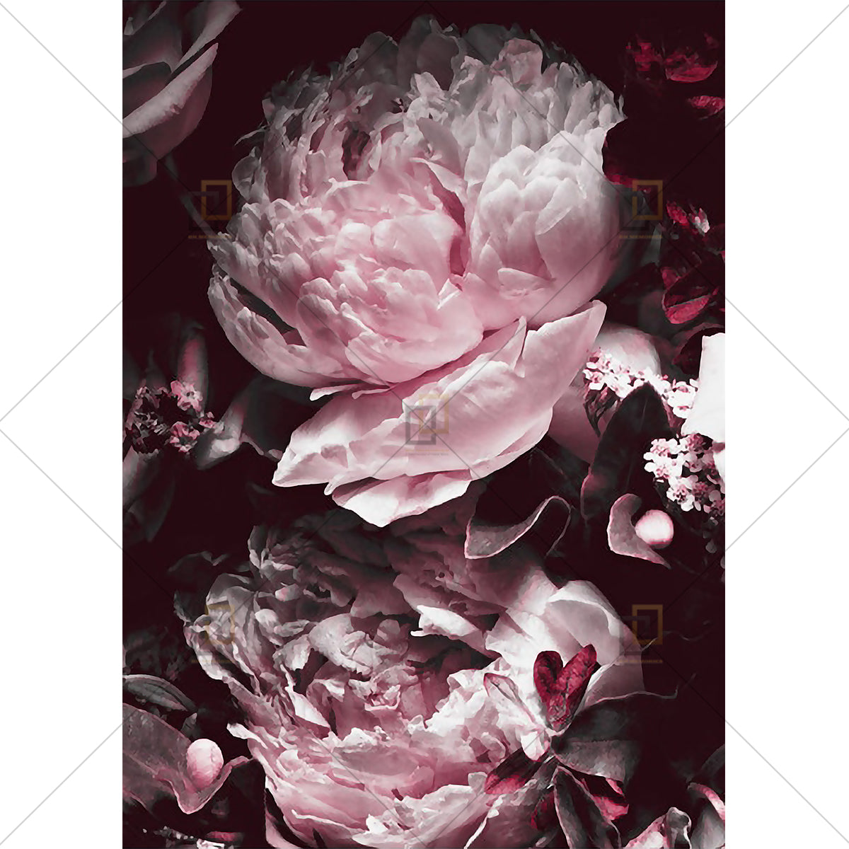 Peony Rose Flower Wall Art Framed Digital Prints