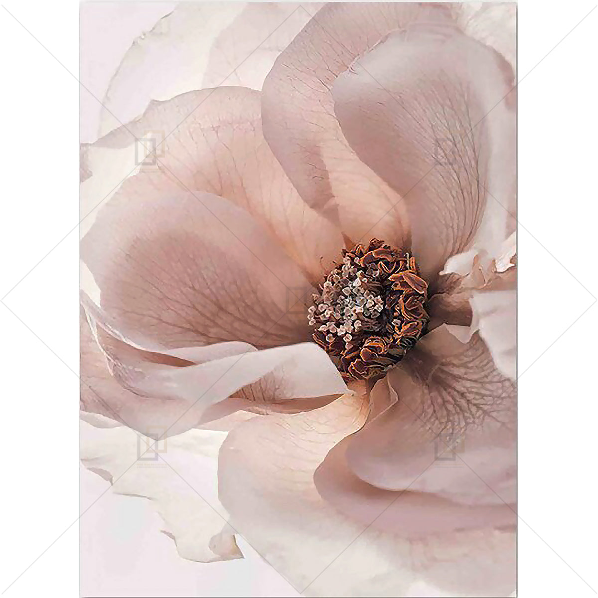 Mangolian Flower Mushroom Red Beach Wall Art Framed Digital Prints