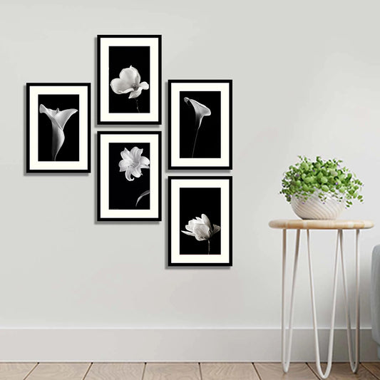 White Flowers with Black Background- Set of 5 Frames