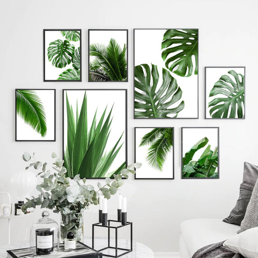 Mons-tera Aloe Palm Leaf  Framed Prints