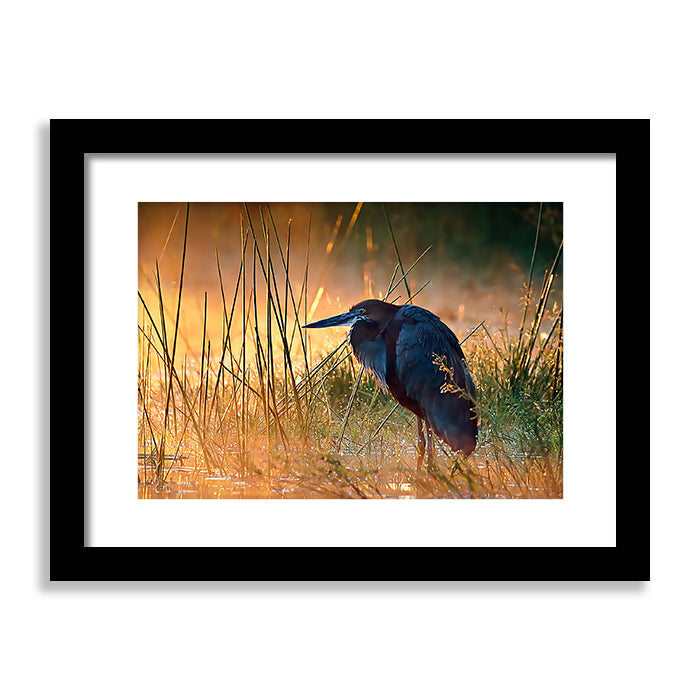 Sunrise-Over-Misty-River  Framed Print