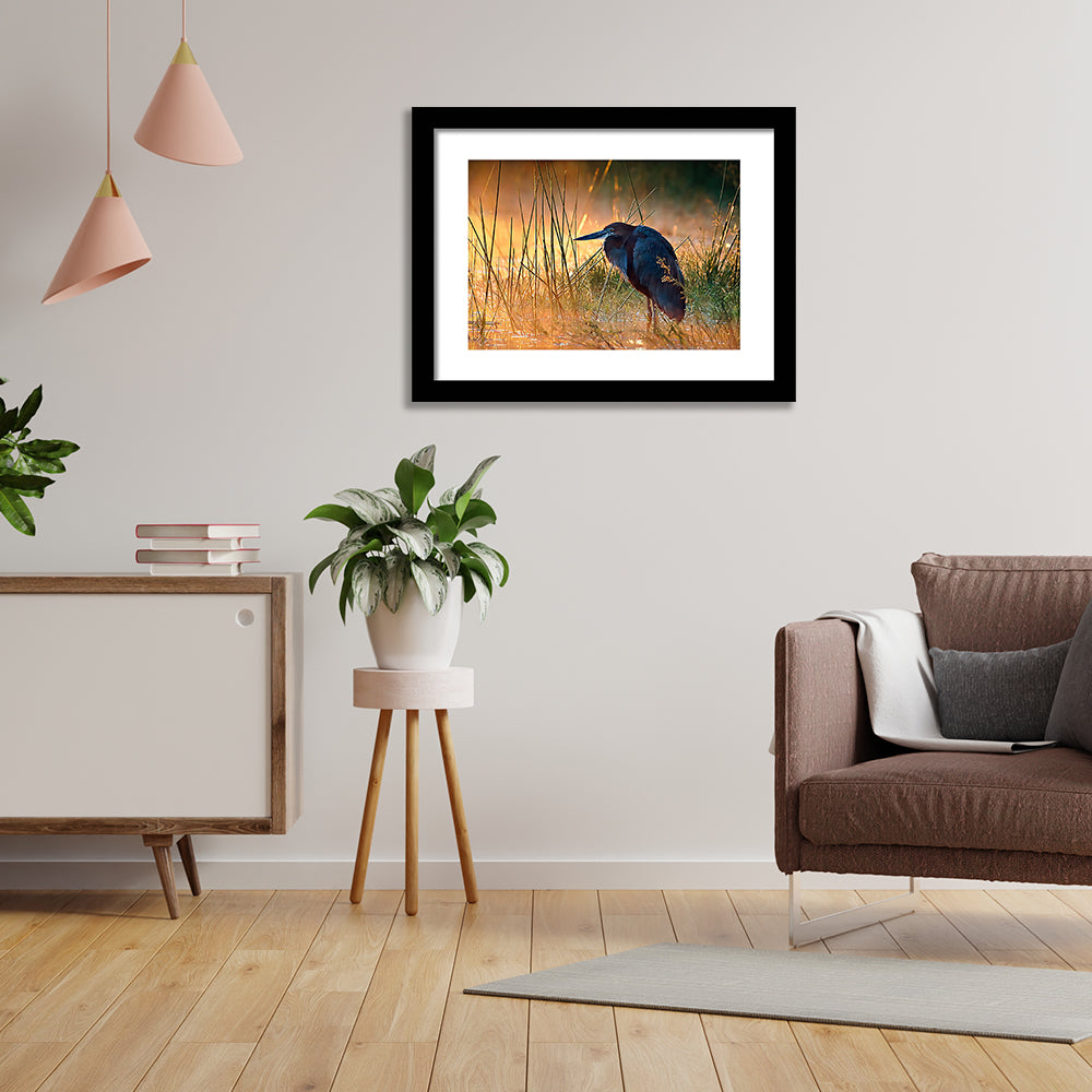 Sunrise-Over-Misty-River  Framed Print